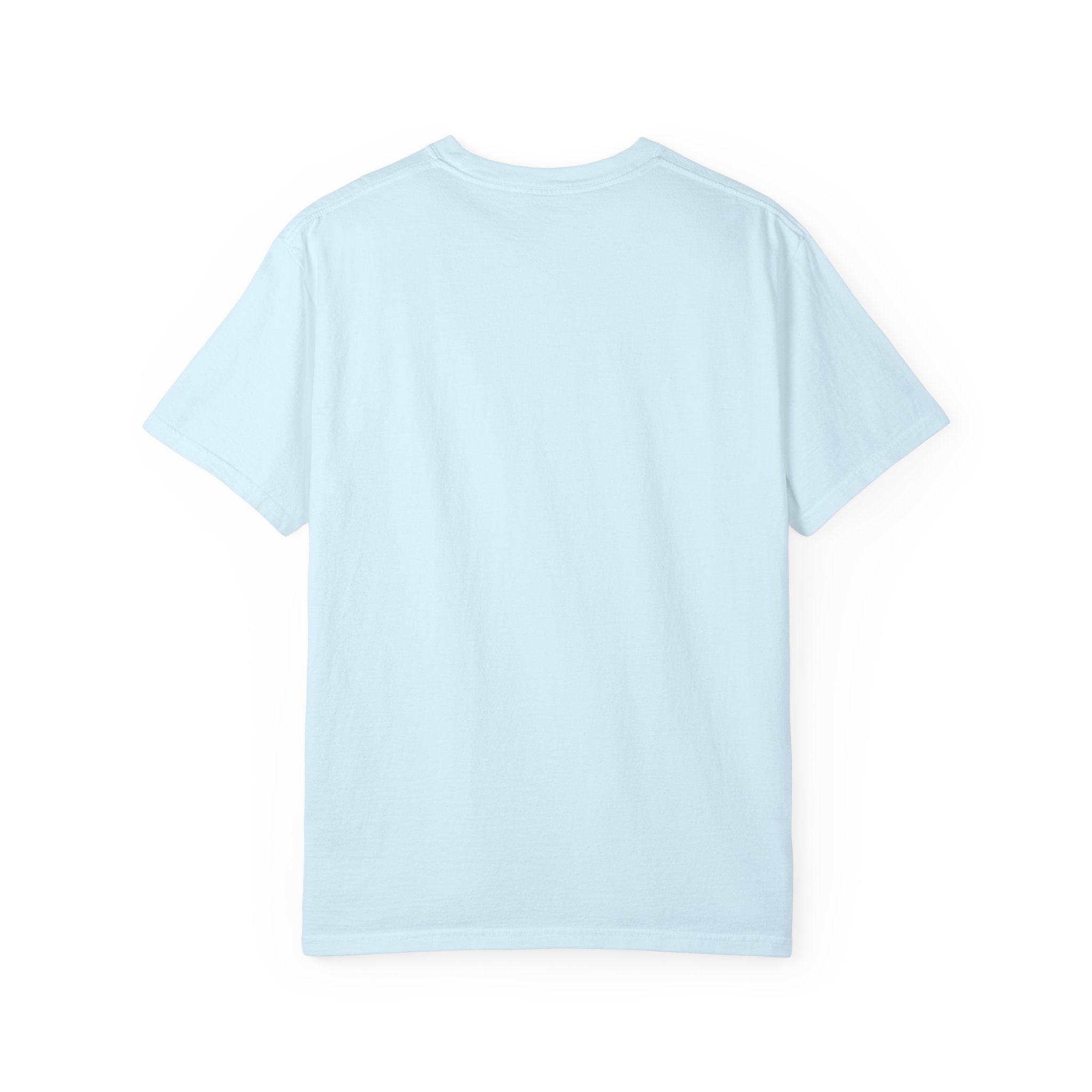 "From the 1900s" Retro Graphic Tee | Funny Millennial 90s Nostalgia Shirt | Pastel Aesthetic Comfort Colors Oversized Streetwear Top