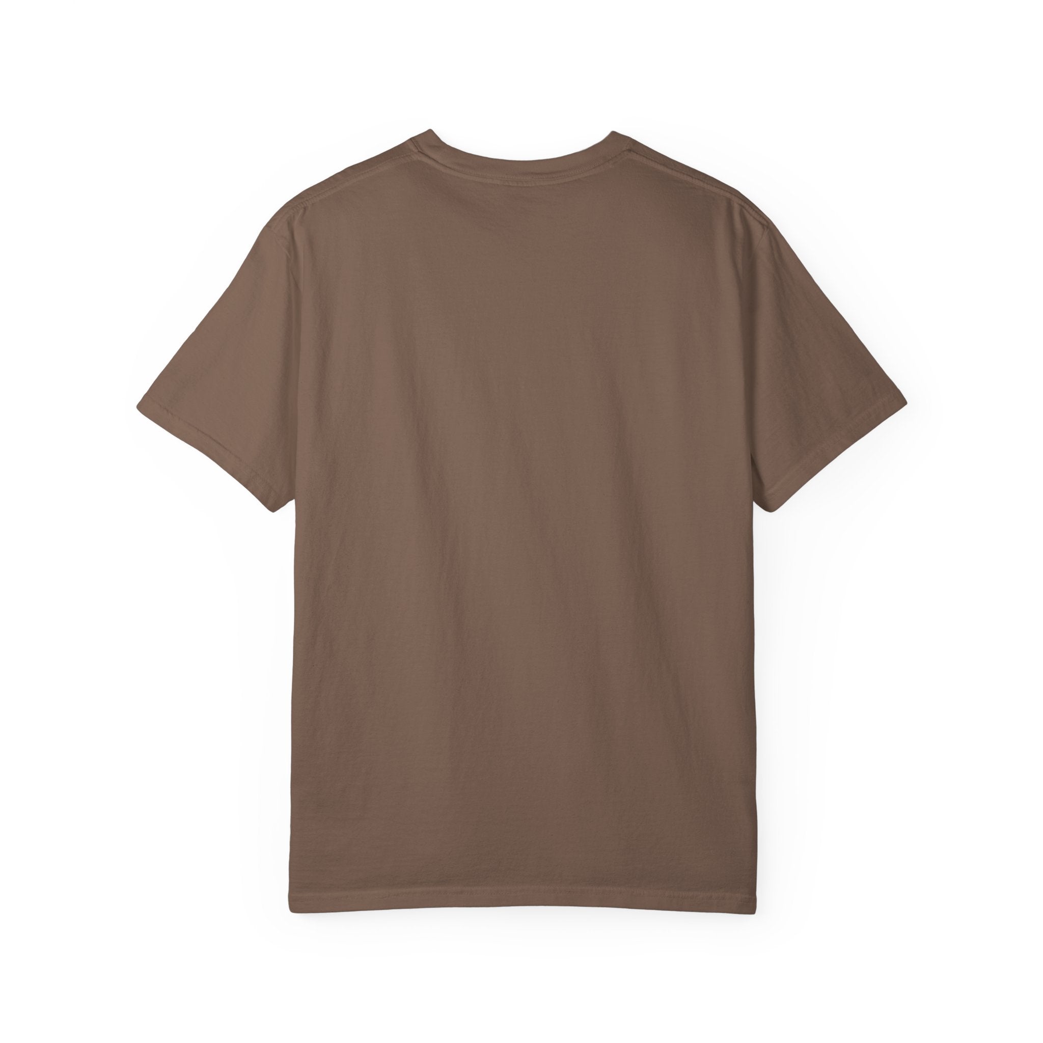 Vintage Football Sundays Shirt | Comfort Colors Game Day Tee | Blankets Snacks and Touchdowns Graphic T-Shirt | Retro Fall Sports Top