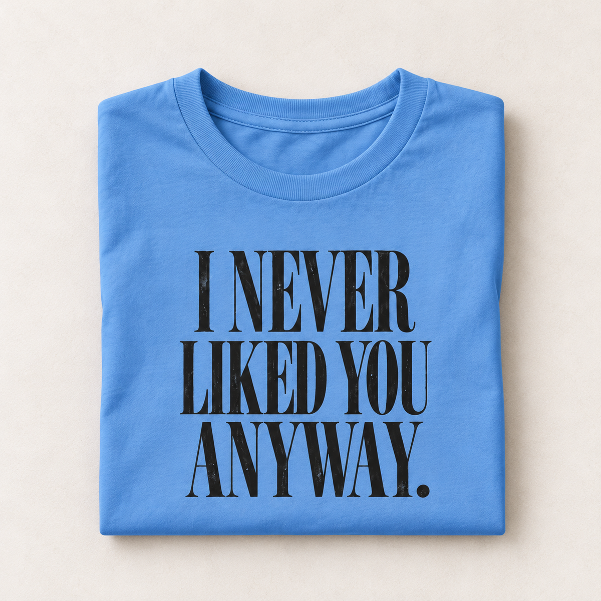 I Never Liked You Anyway Graphic Tee | Funny Sarcastic Women's T-Shirt | Retro Vintage Style Statement Shirt | Millennial Humor