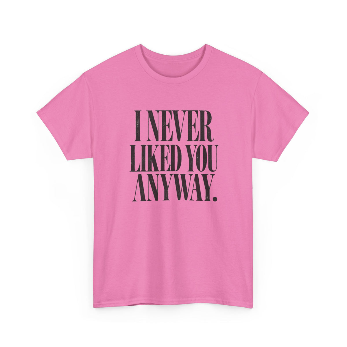 I Never Liked You Anyway Graphic Tee | Funny Sarcastic Women's T-Shirt | Retro Vintage Style Statement Shirt | Millennial Humor